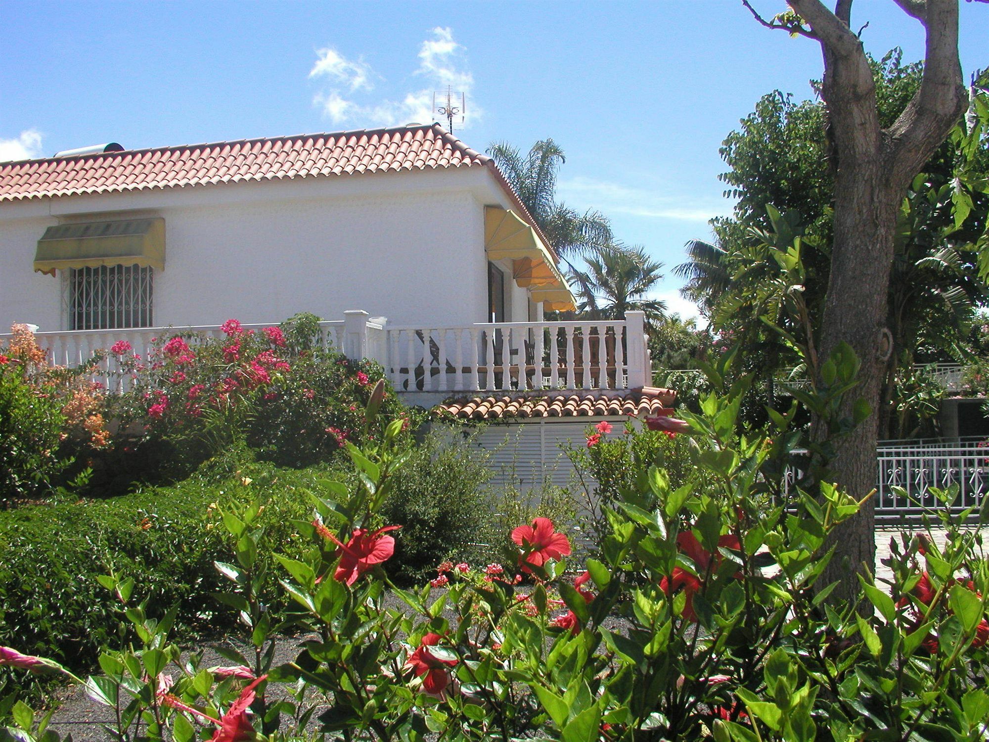 Residencial Las Norias Todoque Extérieur photo